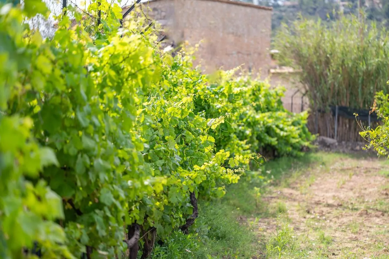 Vakantiehuis Son Sant Joan Villa Alaró